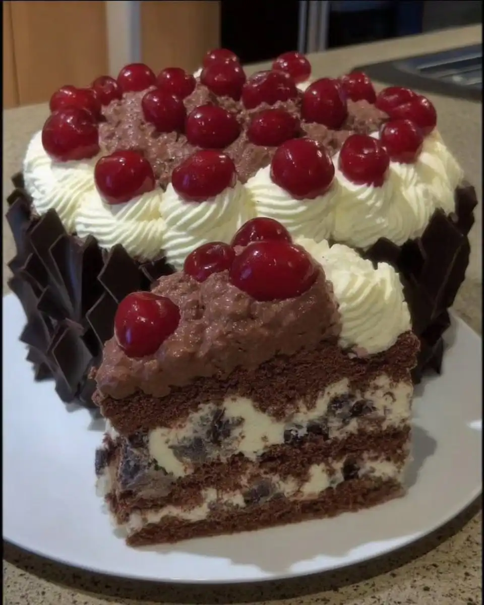 Black Forest Cake 10 Slice of black forest cake showing distinct chocolate layers and cherry filling