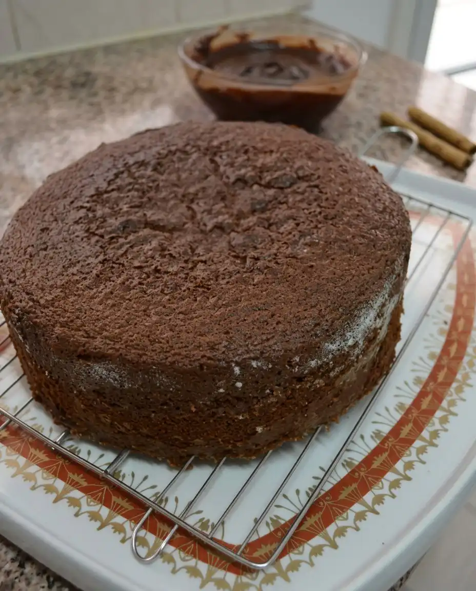 Chocolate Cake Birthday 10 The smooth and glossy texture of chocolate cake batter after emulsification in a blender.