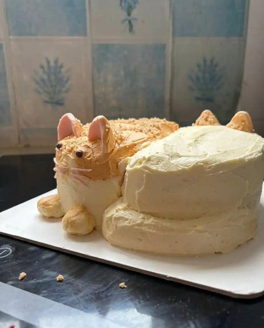 Ingredients for cat cake including cocoa coffee and olive oil