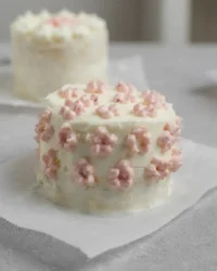 A close up shot of a perfectly layered lunch box cake with white whipped cream and vanilla sponge