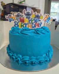 A double layer chocolate Stitch Cake with Swiss meringue buttercream and fresh cherries
