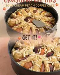 Best Ever Sour Cream Peach Coffee Cake: A Moist Peach Coffee Cake Recipe You Will Love Baking Now.