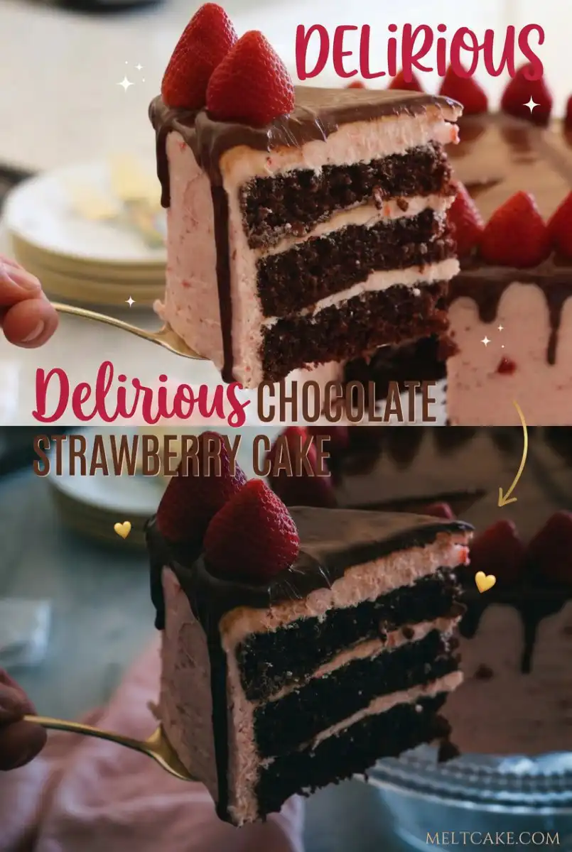 Easy Chocolate Strawberry Cake Recipe: A 3 Layer Cake or Chocolate Layer Cake Rose Mini Layer Cake