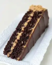 A close up shot of a Dark Chocolate Peanut Butter Cake showing the moist crumb and creamy frosting layers
