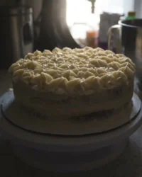 A close up of a two layer limoncello mascarpone cake showing the porous sponge and smooth filling.