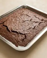 A close up view of a moist Gluten-Free Chocolate Zucchini Cake slice with fudge frosting.