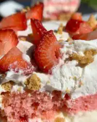 Side view of No-Bake Strawberry Dream showing distinct graham crust and cream layers
