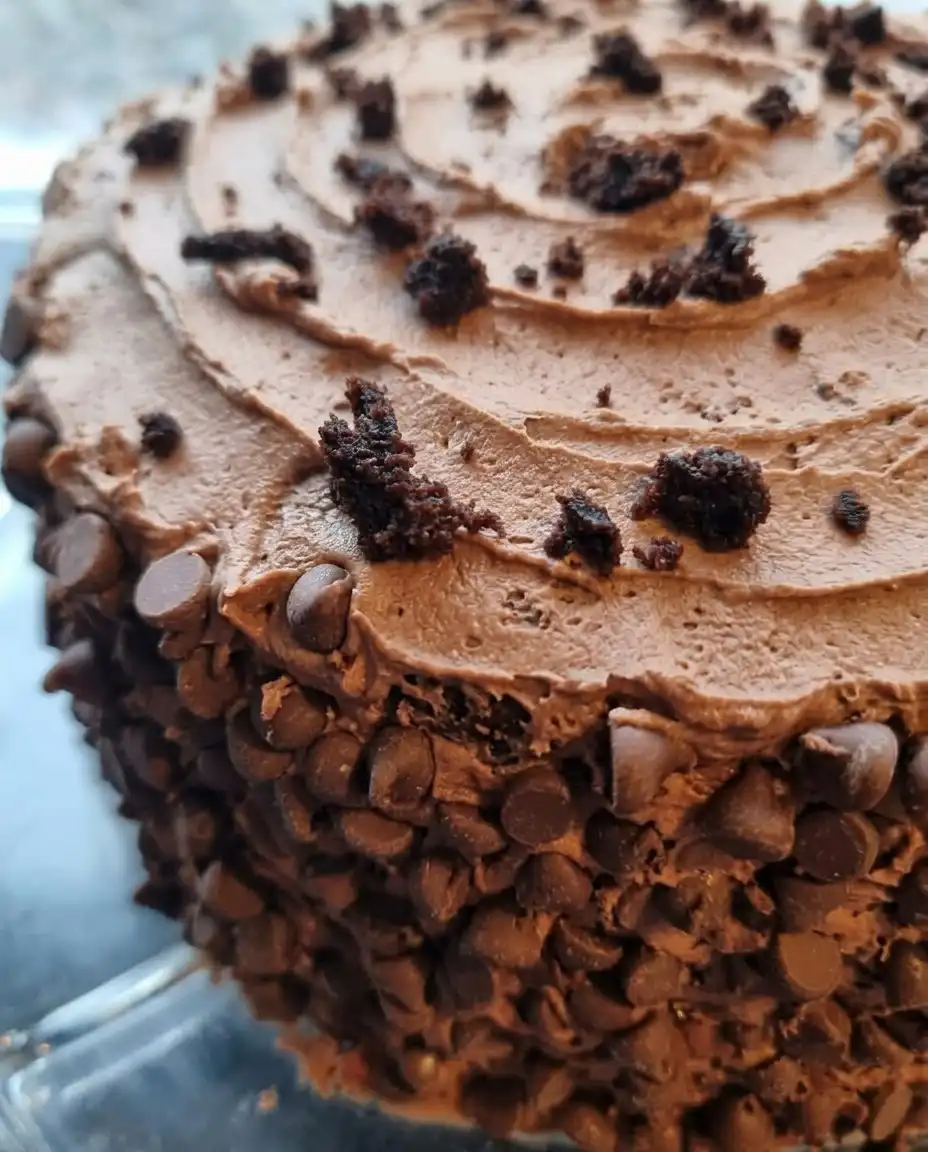A slice of 6 layer chocolate cake served with coffee