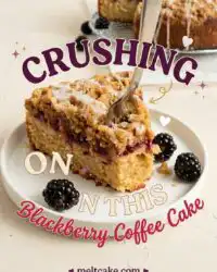 Delicious Blackberry Coffee Cake Recipe: The Ultimate Blackberry Cake For Your Weekend Brunching