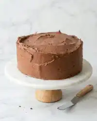Two freshly baked layers of One-Bowl Chocolate Zucchini Cake cooling in round pans on a wire rack.
