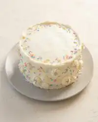 A pristine slice of Classic Vanilla Layer Cake showing even sponge layers and custard filling.