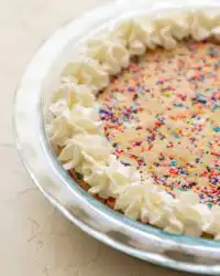 A close up shot of a sliced Rainbow Sprinkle Cookie Cake showing its dense and chewy texture
