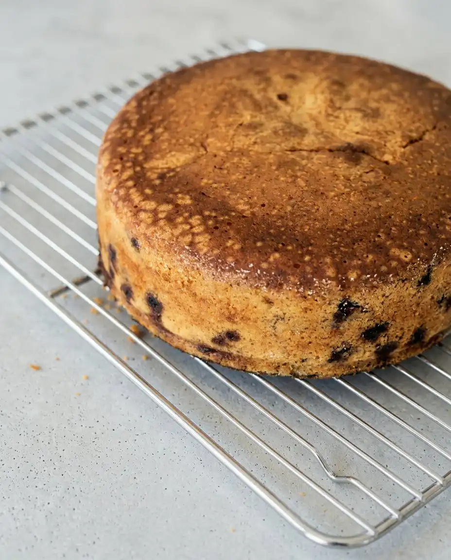 A tender slice of Blueberry Lemon Olive Oil Cake served on a ceramic plate next to a cup of warm coffee.